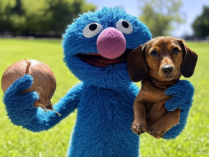 Grover holding an onion and a wiener dog